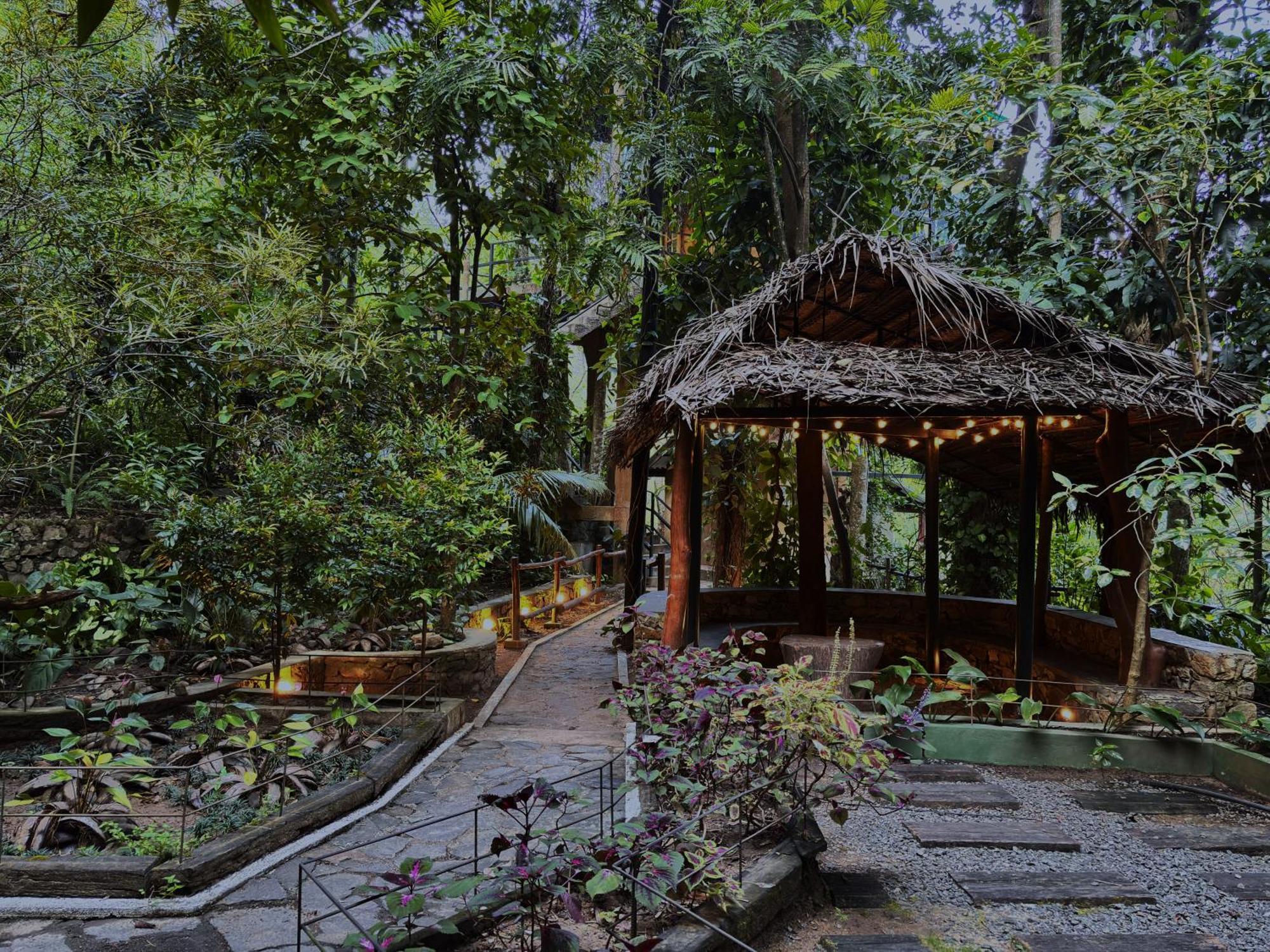 Arana Sri Lanka Eco Lodge And Yoga Center Ella Eksteriør bilde